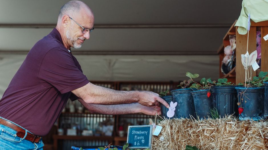 Bluebell Brief Weekly Digest: Farmers Market Returns, Library Book Sale, and a Big Win for the Wildcats